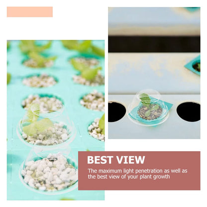 POPETPOP 100 Pcs Plastic Dome Lids - 1.57 Inch Inner Diameter Transparent Hydroponic Plant Caps, Hydroponics Pod Hole Cover for Seedling Clone & Plant Sprouting