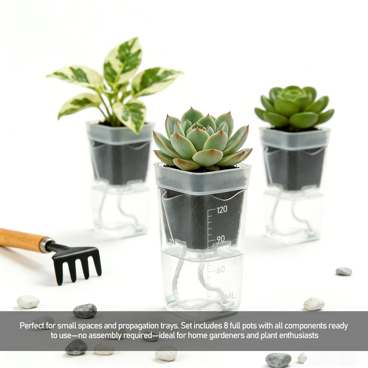 Zarique 8 Pack 2 Inch Self-Watering Plant Pots, Clear Plastic Planter with Water Level Indicator for Propagation, African Violets, Seedlings, Cuttings, with Drainage Hole