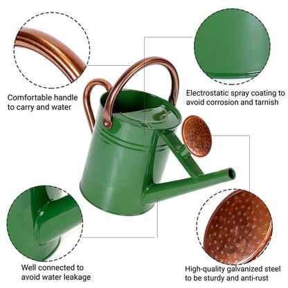 Megawodar 1 Gallon Metal Watering Can with Removable Spout, Nice Galvanized Steel Water Can for Indoor and Outdoor Plants (House Plants)