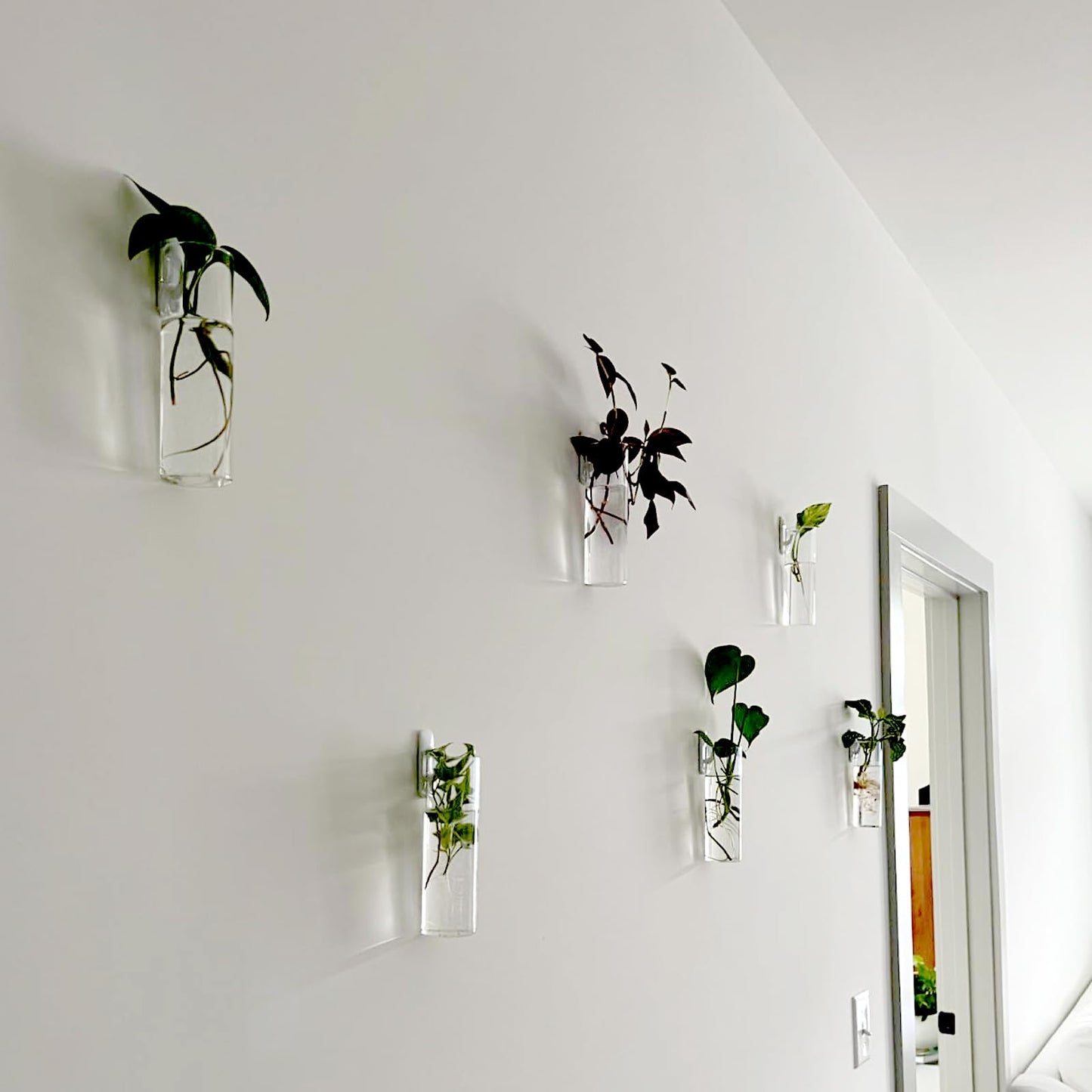 JEUIHAU 6 PCS Glass Wall Mounted Planters, Wall Glass Tube Plant Holder, Plant Propagation Containers for Hydroponics Plants, Garden Decor
