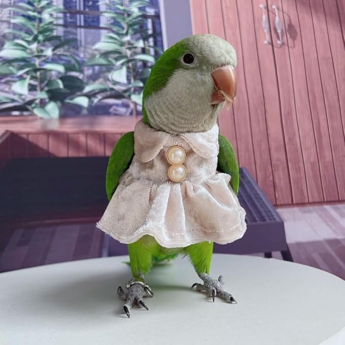 Bird Costume Bird Diaper Flight Suit Parrot Velvet Fleece Skirt Clothes Cosplay Photo Prop for Conure Lovebird Parakeet Cockatiel Macaw Small Animals Apparel (White,X-Large)
