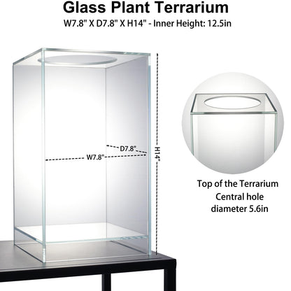 Desktop Glass Plant Terrarium with Grow Light(L7.8 W7.8 H14), for Succulent, Moss, Miniature Gardening Landscape, Betta Fish Tank, Indoor Plant Growth, Office Home Decoration (TimeControlled)