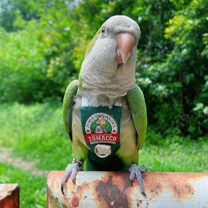 Bird Clothes Parrot Diapers Bird Flight Suits, Reusable Waterproof Diapers pet Bird Supplies (L)