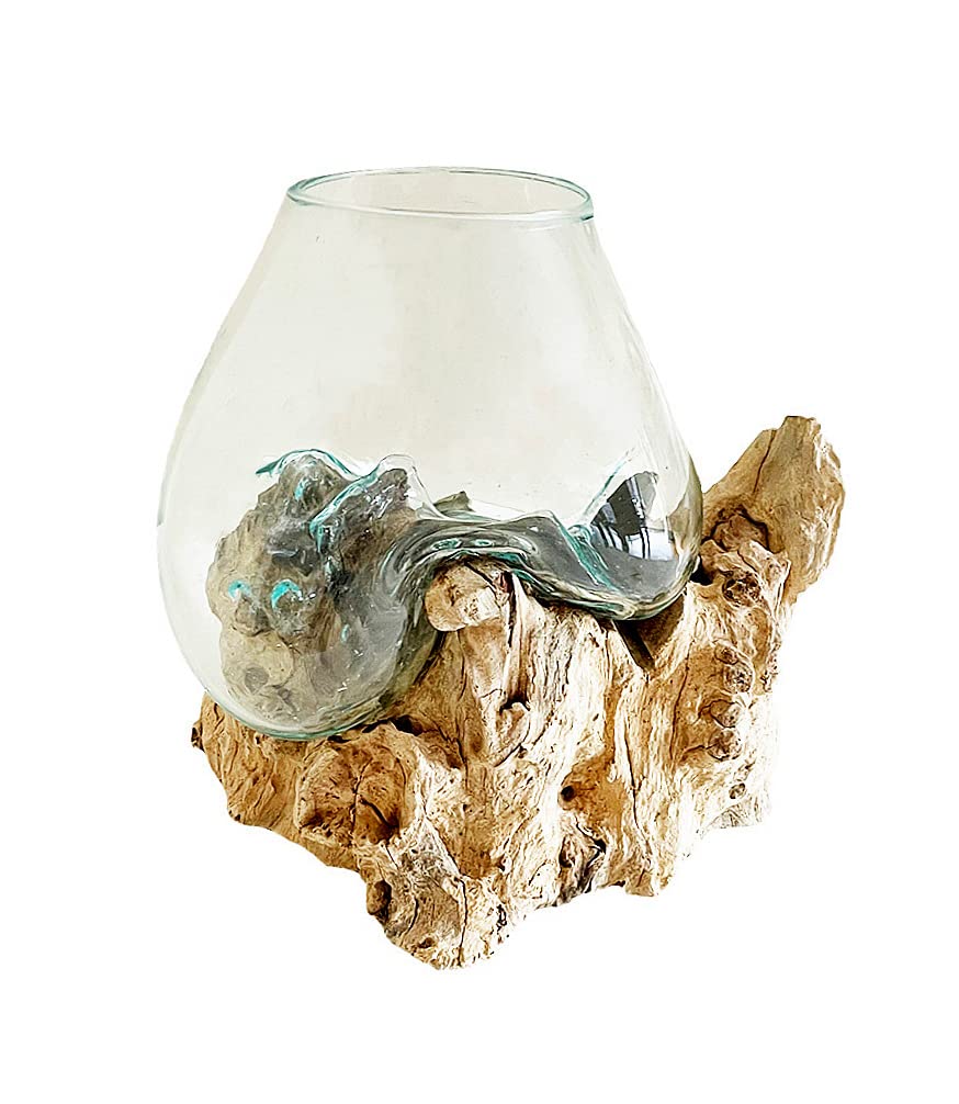 OMA Hand Blown Molten Glass on Driftwood Terrarium Vase or Planter – Recycled Glass & Natural Wood for Coastal & Boho Home Décor (12"–14" High)