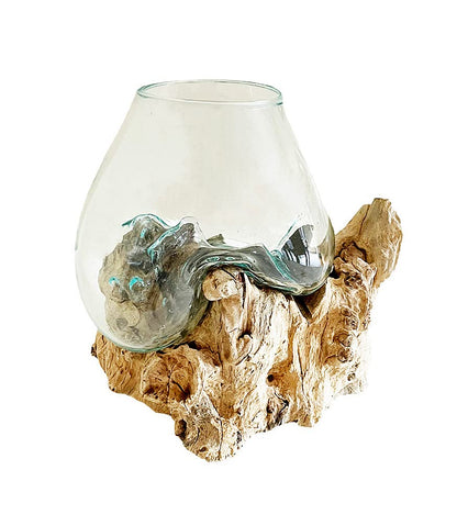 OMA Hand Blown Molten Glass on Driftwood Terrarium Vase or Planter – Recycled Glass & Natural Wood for Coastal & Boho Home Décor (12"–14" High)