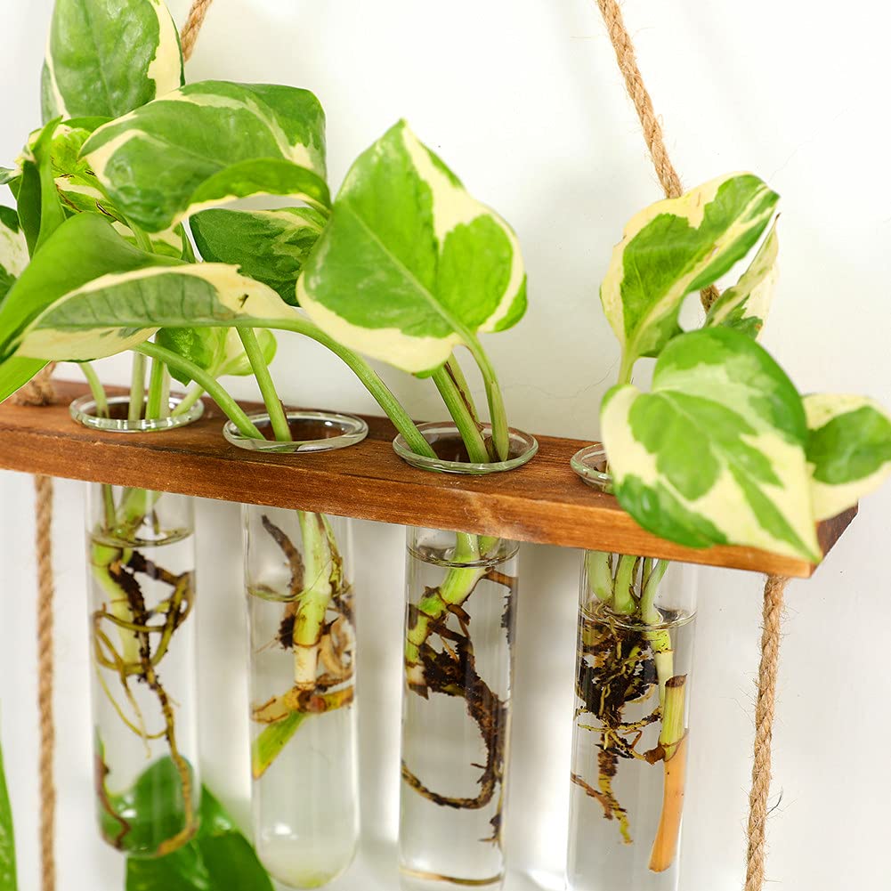Hiuxume 2 Tiered Wall Hanging Planter, Wooden Stand with Glass Planter Test Tube Vase for Hydroponic Plant Propagation, Perfect for Indoor and Outdoor Decor
