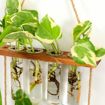 Hiuxume 2 Tiered Wall Hanging Planter, Wooden Stand with Glass Planter Test Tube Vase for Hydroponic Plant Propagation, Perfect for Indoor and Outdoor Decor