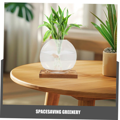 Artibetter 2pcs Hydroponic Glass Vase with Wooden Base, Hydroponic Plants Planter for Indoor Propagation, Home and Office Plant Terrarium Station