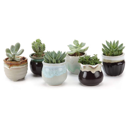 T4U Mini Ceramic Succulent Pots with Drainage - Set of 6, Tiny Pots for Plants, Home and Office Decor, Plant Lover Gifts for Women