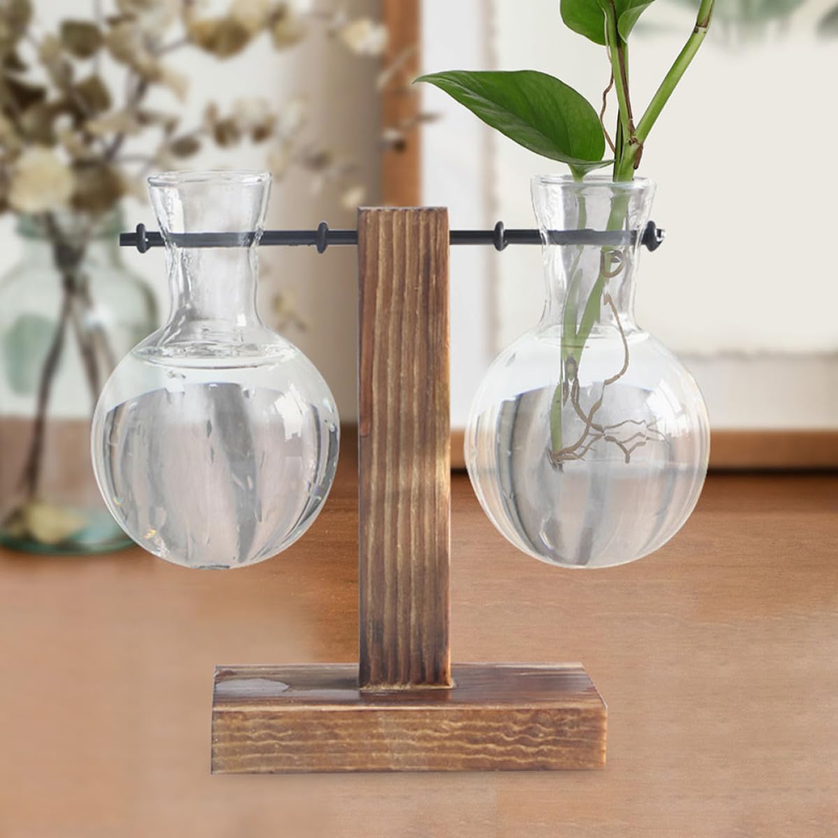 MINAOLULUS 3pcs High Borosilicate Glass Plant Pot with Wood Stand, Desktop Propagation Vase for Hydroponic Plants and Flowers, Glass Terrarium Planter for Home Décor