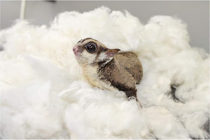 Exotic Nutrition All-Natural Nesting Material (1.5 oz.) - 100% Cotton Eco-Friendly Animal Bedding - for Sugar Gliders, Squirrels, Hamsters, Rabbits, Wild Birds & Wildlife
