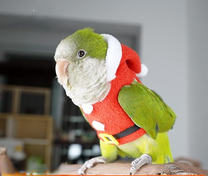 Bird Clothes Birds Flight Suit, Christmas Hoodie for Parrots Cockatiel Sun Conure Christmas Party Cosplay Photo Prop Bird Shirt Small Animals Apparel (with Diaper,Pigeon)