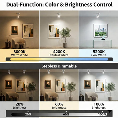 Lsoppn Magnetic Rechargeable Picture Light 2 Pack, Wireless Art Spotlight with Remote & Touch Control, 3 Color Temps Dimmable Wall Light, 2000mAh Battery Accent Lighting for Painting, Gallery, Display