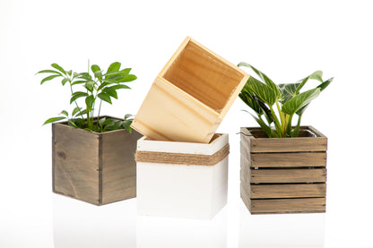 Wooden Planter Box, Rustic Barn Wood with Plastic Liner l Garden Decor l Restaurant and Wedding Decorations l Wedding Bouquets, Table Centerpiece (5x5 Set of 4, Natural)