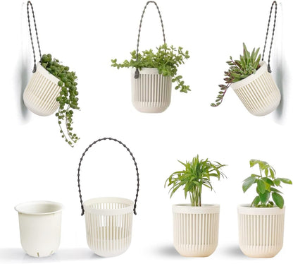 Succulent Tools and Plastic Succulent Pots