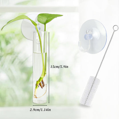 FOWSRHRG 4PCS Wall Hanging Planter Propagation Stations, Plant Tube with Suction Cup Hook, Test Tube Propagation Station Wall Clear Plant Vase No Nails with Bottle Brush Flower Plant Terrarium