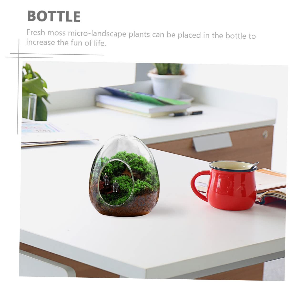 BESPORTBLE Glass Bottle Plant Moss Terrarium DIY Micro-Landscape Desktop Succulent Vase Home Decor