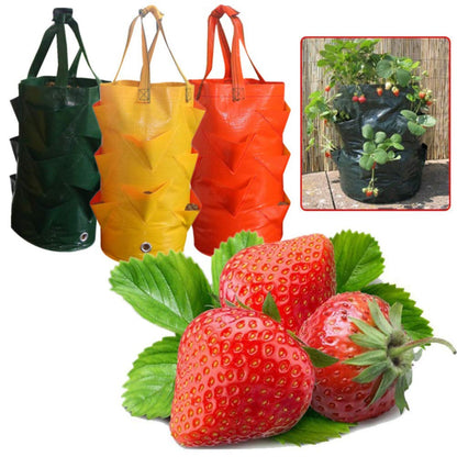 Hemoton 3 Gallons Planting Grow Bag, Hanging Strawberry Bags, Plastic Strawberry Planter Bags, Perfect for Growing Strawberry,Tomato,Pepper,Cucumber,Herbs,Lettuce,Greens,Flowers and More! (Green)