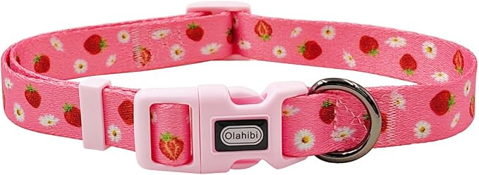 Dog Collar Leash Set, Floral Pattern, Polyester Material, Adjustable Collar and 5ft Matchcing Leash, for Puppy Dogs.(XS, Daisy and Strawberry)