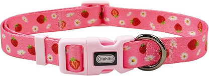 Dog Collar Leash Set, Floral Pattern, Polyester Material, Adjustable Collar and 5ft Matchcing Leash, for Puppy Dogs.(XS, Daisy and Strawberry)