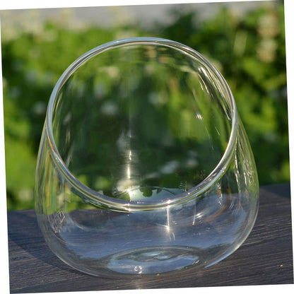 VICASKY Glass Landscape Bottle for and Air Plants Multi-Purpose Terrarium Container for Home Decor and Creative Displays