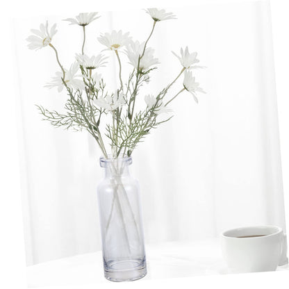 Cabilock Desktop Hydroponics Glass Planter Vase Stylish Terrarium for Home Decor Simple Design Small Bulb Container for Plant Lovers