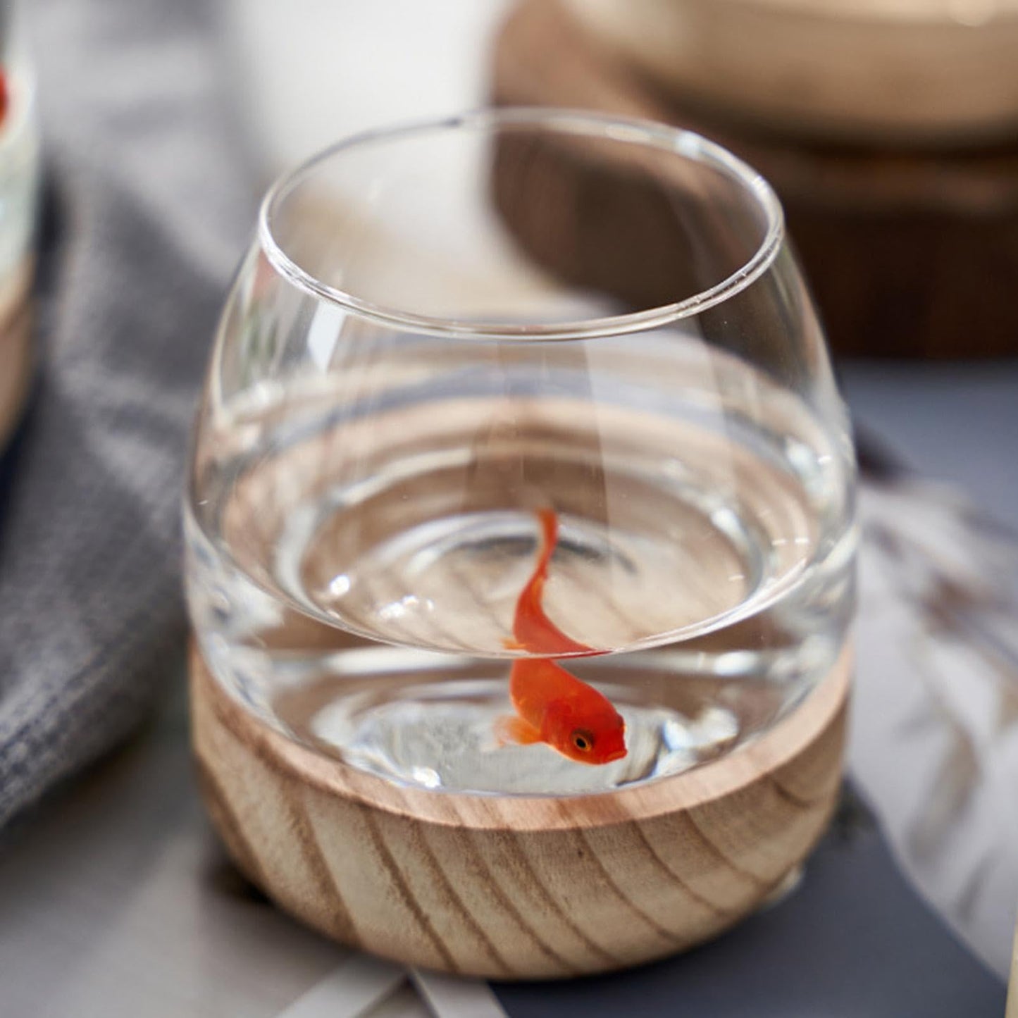 Hydroponic Vase - Durablee Hydroponic Plant Vase, Transparent Glass Fish Bowl Vase with Wooden Support | Wide Mouth Terrarium Flower Vase, Glass Hydroponic Planter Clear Fish Bowl for Home Decoration