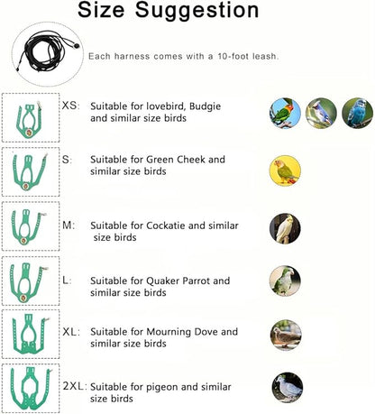 Adjustable Bird Harness & Leash Set for Small Birds,FitsBudgie,Parakeets, Conures, Cockatiels,Green Cheek,Quaker Parrots(Green, M) Z6350-8