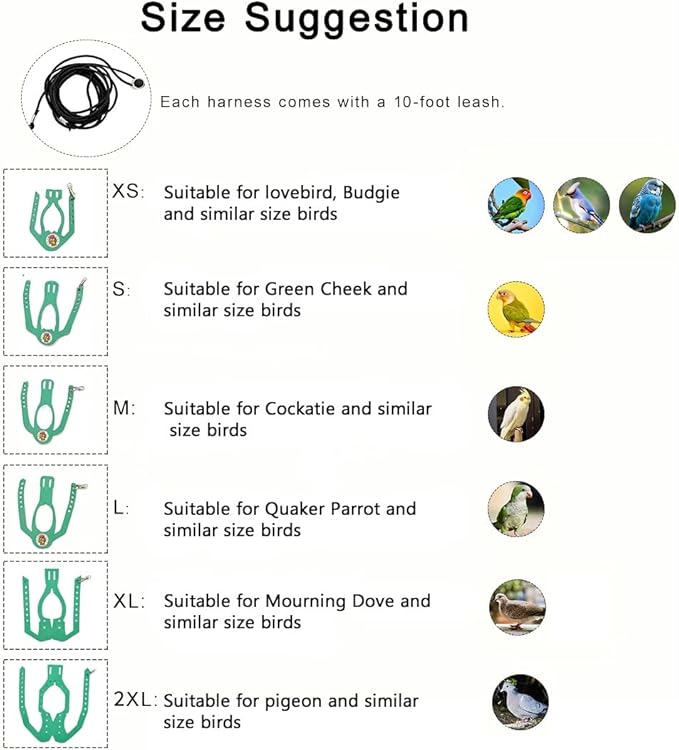 Adjustable Bird Harness & Leash Set for Small Birds,FitsBudgie,Parakeets, Conures, Cockatiels,Green Cheek,Quaker Parrots(Green, L) Z6350-9