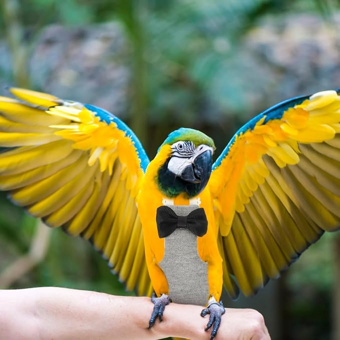 SUPVOX Bird Diaper Pigeon Flight Suit Reusable Parrot Clothing Adorable Design for Cockatoos Parakeets