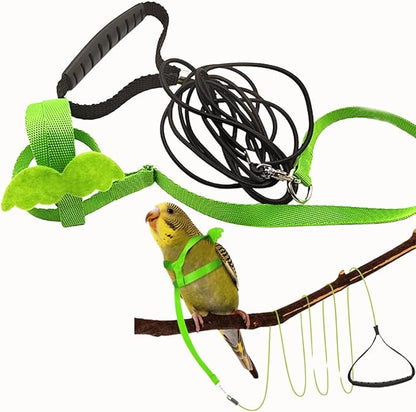 Pet Parrot Bird Harness and Leash, Adjustable Training Design Anti-Bite, Bird Nylon Rope with Cute Wing for Parrots, Suitable for Macaw Cockatoo Cockatiel Lovebird Conure African Grey (Green,S)