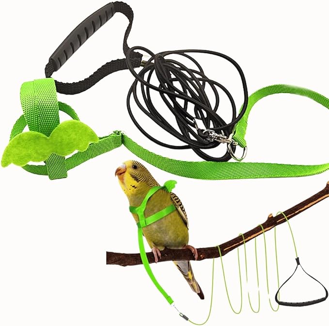 Pet Parrot Bird Harness and Leash, Adjustable Training Design Anti-Bite, Bird Nylon Rope with Cute Wing for Parrots, Suitable for Macaw Cockatoo Cockatiel Lovebird Conure African Grey (Green,L)