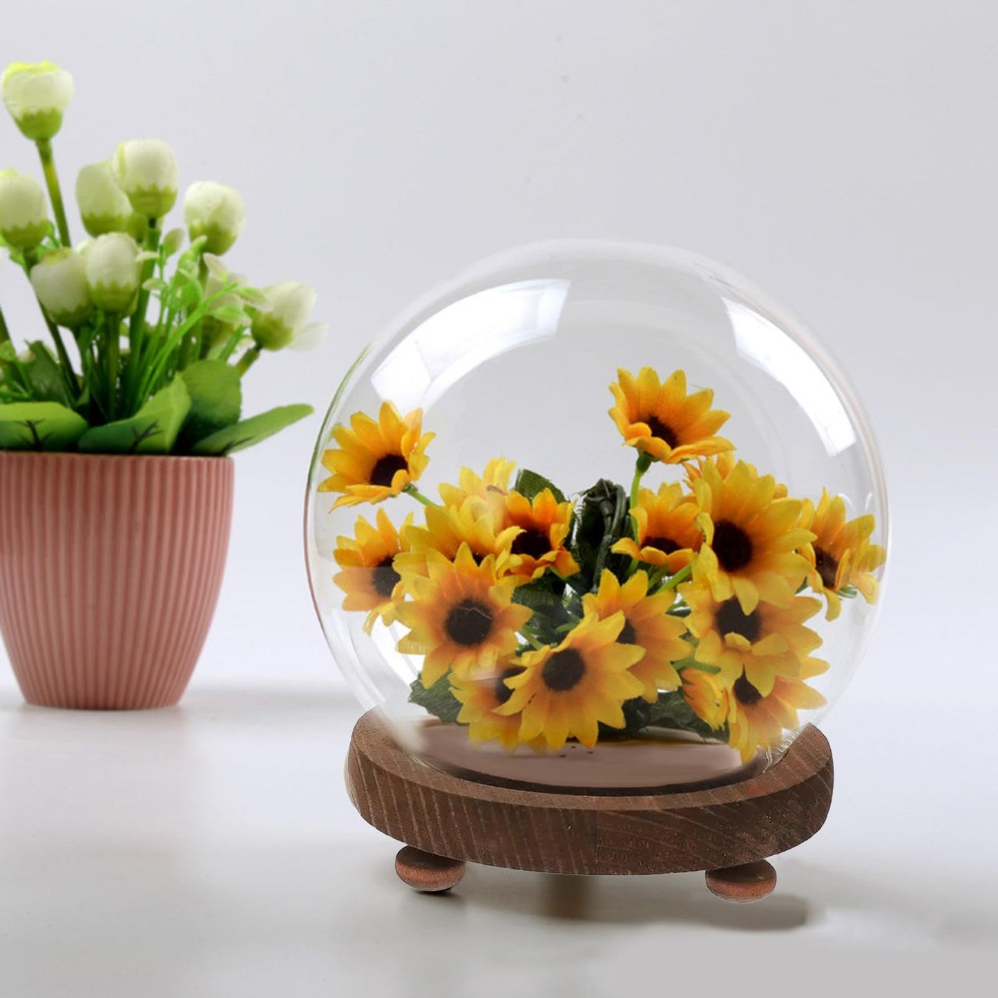 Generic Clear Glass Display Case Terrarium ,Wooden Base Decorative, Empty Glass Dome for Photos Medals Decoration Home Living Room Tabletop Decoration , 12cm