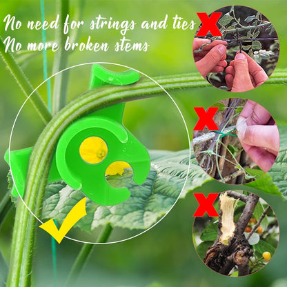 LucyPhy 30 Pack Plant Bender Angle Adjustable Plant Training Clips Low Stress Training Clips 90 Degrees Plant Stem(Circle Style,Green)