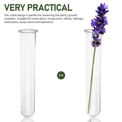 FUNOMOCYA 4pcs Clear Test Tubes for Cutting Plant Glass Propagation Tubes for Hydroponic Plants, Flowers, Home Office Wall Decor
