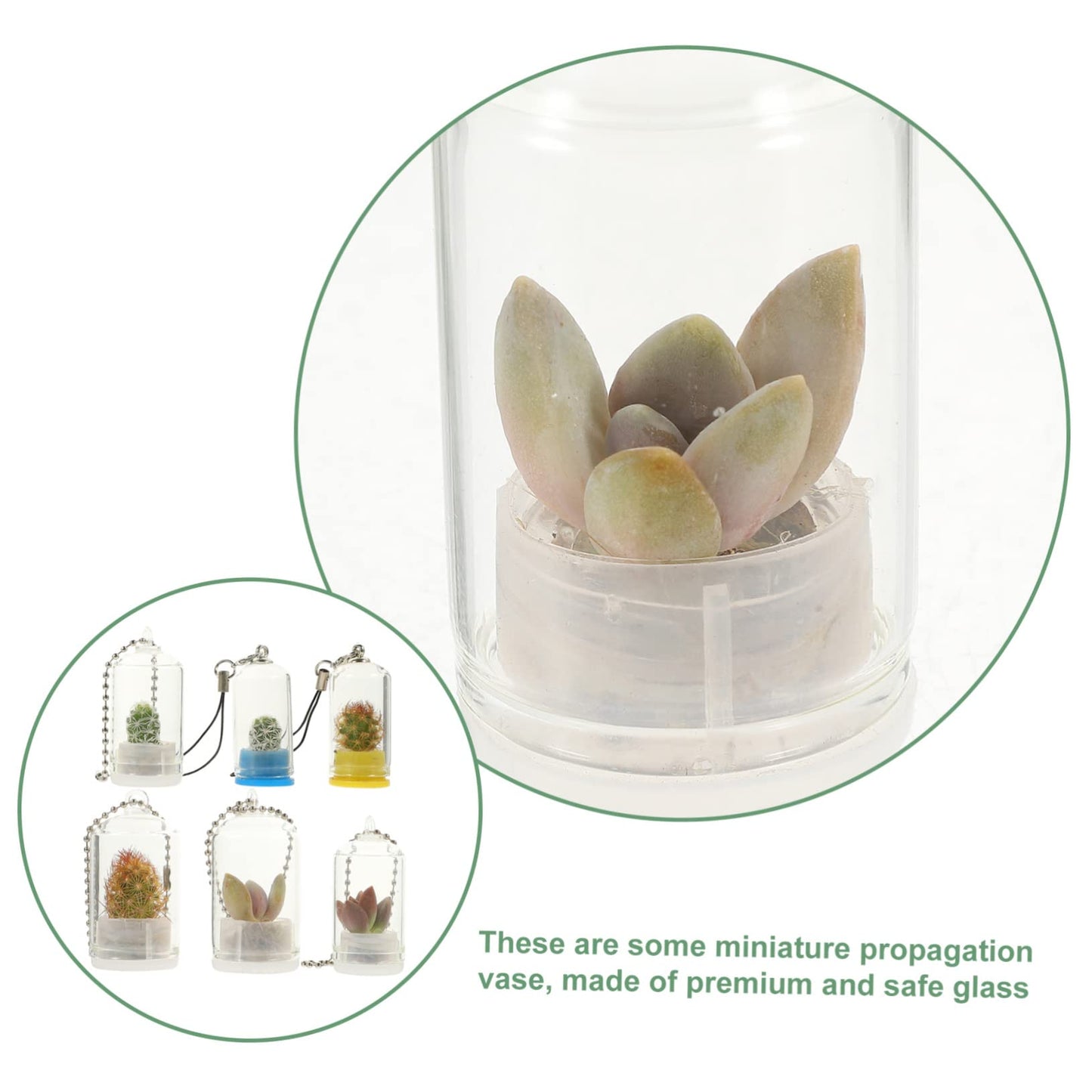 GALPADA 6pcs Key Chain Keychain Charm Keychain Accessories Decor Plants Plant Keychain Hanging Terrarium Large Home Keychain Vase Jar Clear Vase Car Miniature Hanging Planters Bulb Glass