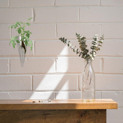 GOOHOCHY Hanging Wall Vase Glass Planter Hydroponic Flower Bottle Cone Shape Clear Glass Plant Holder for Home Office Balcony Indoor Decoration