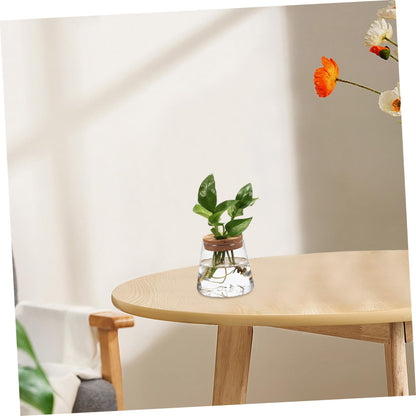 ibasenice 3Pcs Glass Hydroponic Plant Vases Compact Indoor Gardening Terrarium for Avocado Propagation Modern Desktop Decoration for Home Office Versatile Plant Propagation Jars