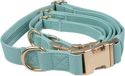 Leather Dog Collar and Leash Set 7FT Reflective at Night - Soft and Easy to Clean Vegan Leather with Gold Metal Buckle for Small Medium Large Dogs (S, Sea Green)