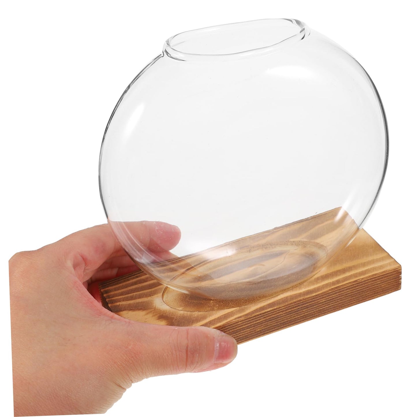 KESYOO Creative Hydroponic Vase with Transparent Glass Pot and Wooden Base for Soilfree Plant Propagation Indoor Terrarium and Elegant Flower Display Easy Setup and Maintenance