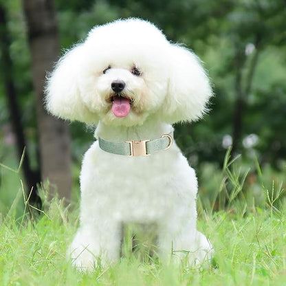 Soft Corduroy Dog Collar and Leash Set Adjustable Durable Dog Collars with Metal Buckle and Lead for Small Dogs,Grass Green