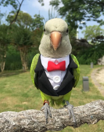 Bird Clothes Birds Flight Suit,Tuxedo Business Suit for Parrots African Greys Parakeet Cockatiel Sun Conure Christmas Party Birthday Cosplay Photo Prop Small Animals Apparel (S,Black Suit)