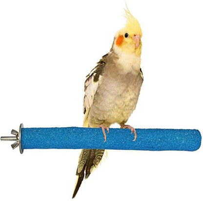 PINVNBY Stainless Steel Food Bowls for Birds,Bird Feeding Dish Cups Parrot Water Feeder Bowl with Clamp Holder Paw Grinding Perches for Budgies Parakeet Macaw Small Animal(5 Pack)