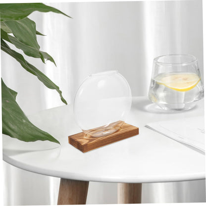 BESTonZON 1piece Modern Plant Decor Hydroponic Vase Glass Terrarium Jar Terrarium Container Creative Propagation Vase Plant Window