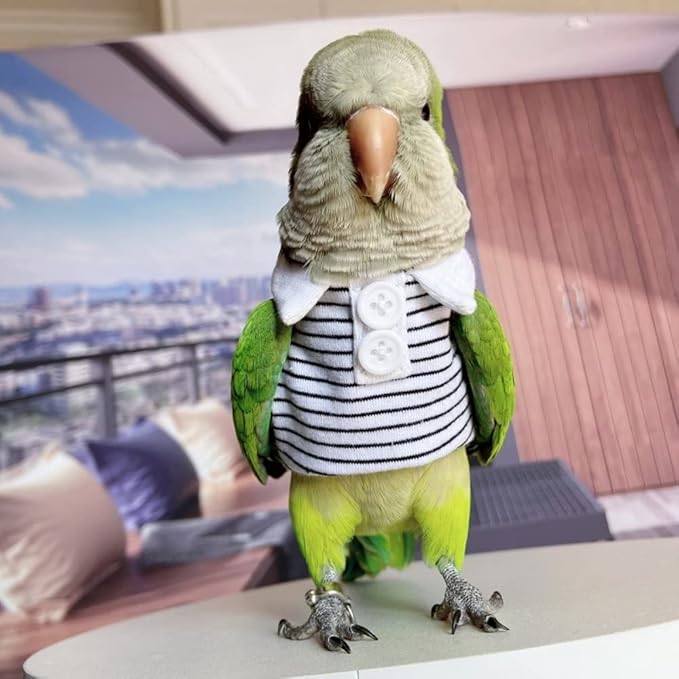 Bird Diaper Flight Suit for Parrots, Lovebirds, Parakeets & Cockatiels - Summer Clothes Cosplay Photo Prop - Small Animal Apparel (with Diaper, Common Hill Myna)