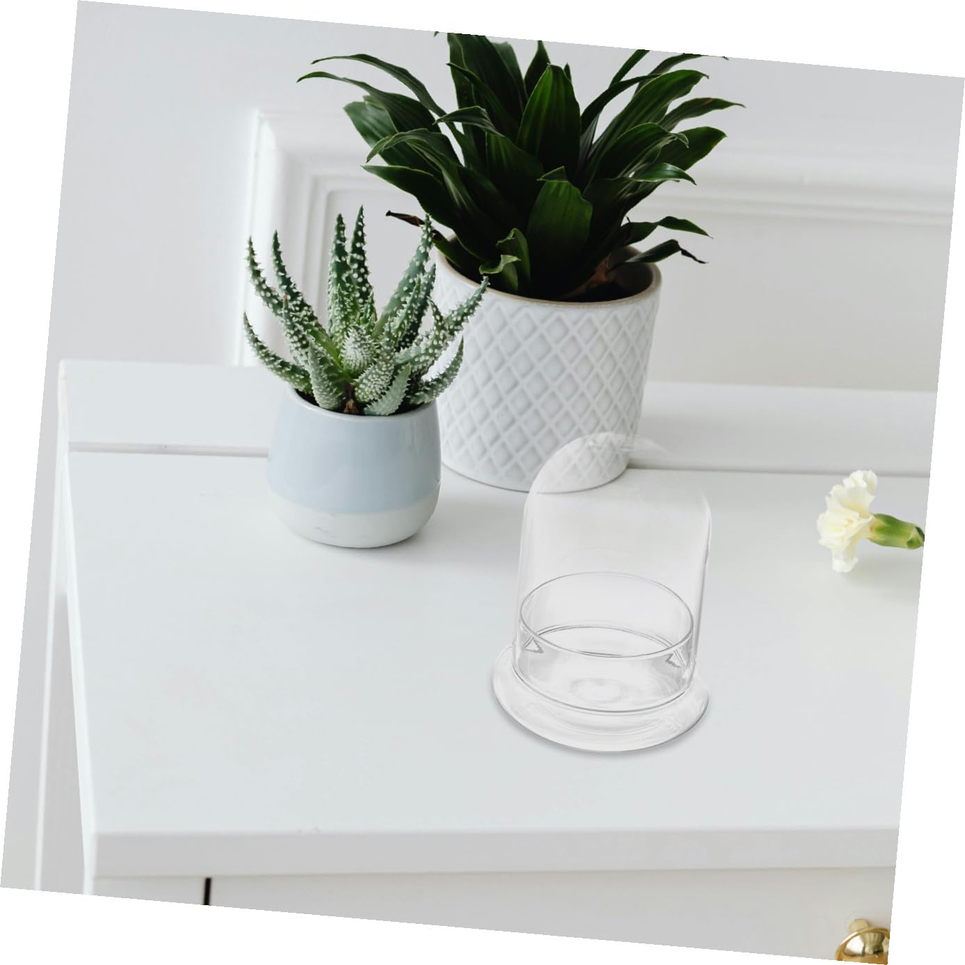 SAFIGLE Glass Plant Terrarium Eco Bottle DIY Moss Jar Home Decor Study Room Accessory