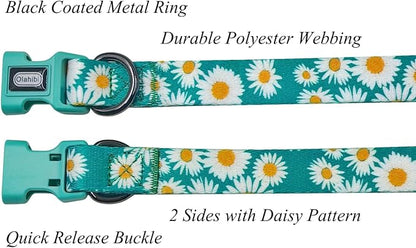 Dog Collar and Leash Set, Cute Daisy Pattern, Polyester Material, 5ft Leash, for Large Dogs.(Large,Green Daisy)
