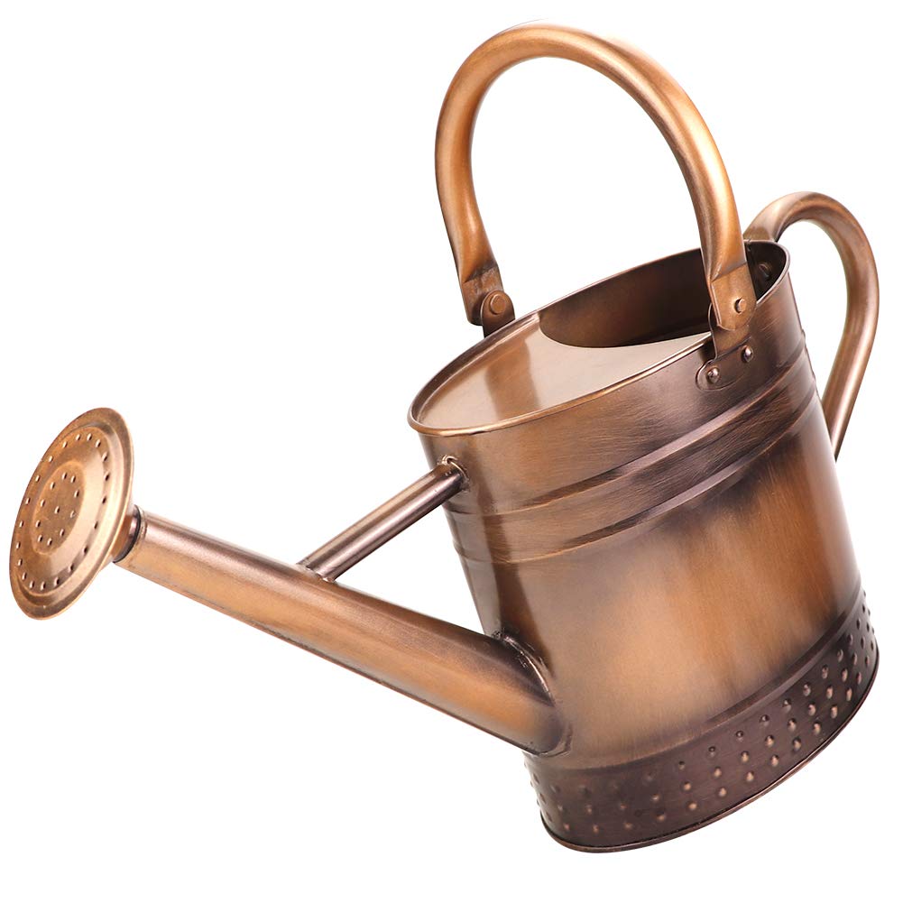 Megawodar 1 Gallon Metal Watering Can with Removable Spout, Nice Galvanized Steel Water Can with Embossed Design for Indoor and Outdoor Plants
