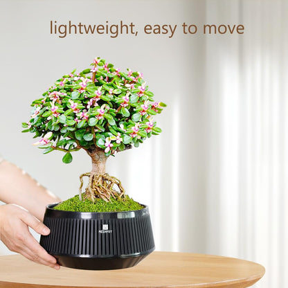 Meshpot 8 Inch Bonsai Pots with Drainage Tray, Set of 1, Plastic Imitate Ceramic Bonsai Tree Pot with Excellent Airflow, Large Succulent Pots for Indoor Plants, Juniper, Ficus, Chinese Elm, Cactus