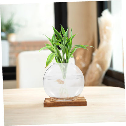 HOOWIFFY 2pcs Glass Hydroponic Planter Vase with Wooden Stand, Indoor Plant Terrarium for Propagation and Home Office Decor